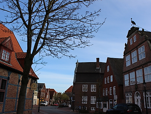 Führung Stiftung und Stiftungshaus Naturschutzstiftung des Landkreises Cuxhaven Ahlenmoor mit Kerstin Norda