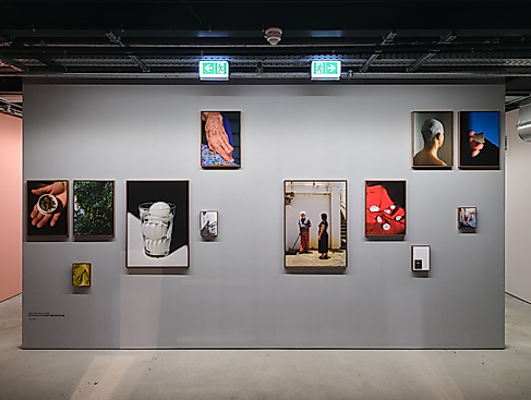 Ana Maria Sales Prado, It is the aura of my fingers that sees the egg, Ausstellungsansicht States of Rebirth