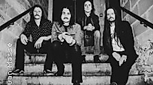 The Datsuns (NZ)