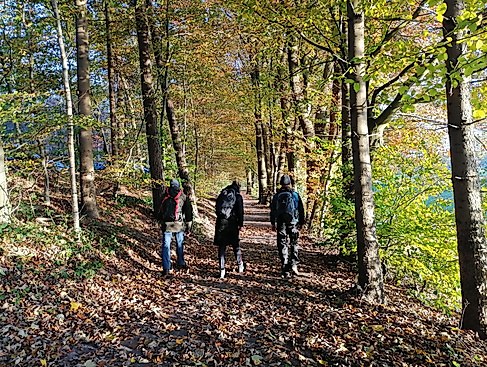 Pilgern im Herbst