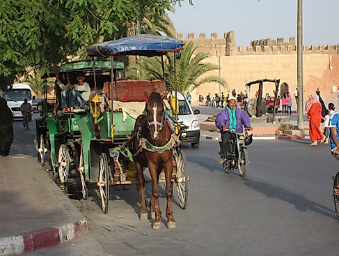 KuK - Im Süden Marokkos - durch den Antiatlas in die Wüste