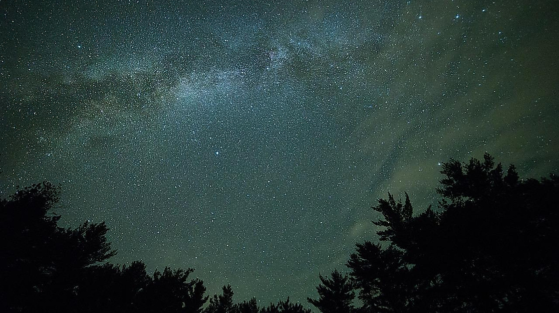 Bild von Pexels auf Pixabay