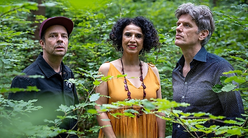 Paula Morelenbaums „Bossarenova Trio“ - Levitar