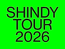 Shindy