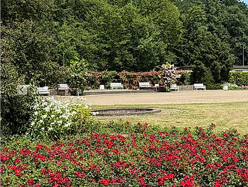 Bild Bühne