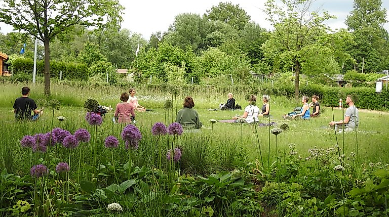 Yoga im Inselpark_ParkSportInsel e.V.