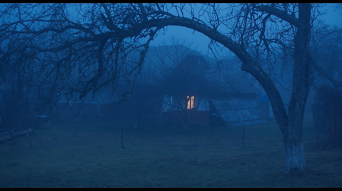 Film- und Gesprächsabend zum Jahrestag des Angriffs auf die Ukraine - "Drei Frauen"