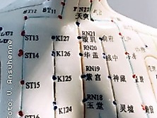 5 Elemente Meridian-Dehnung