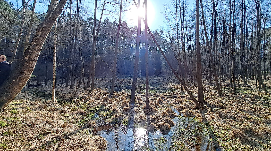 Der Quelltopf der Hardau im Speck-Grund