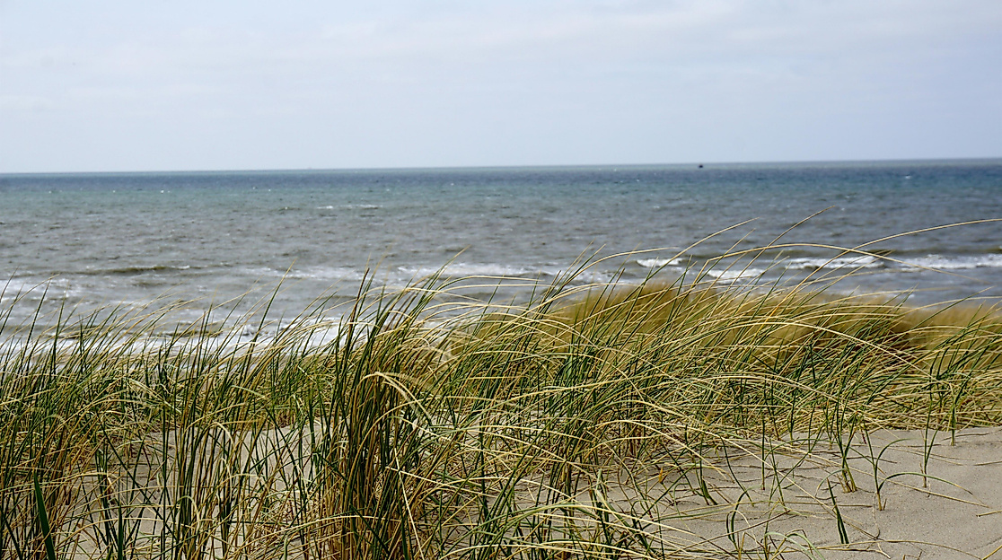 Achtsamkeit & Qi Gong in der Natur