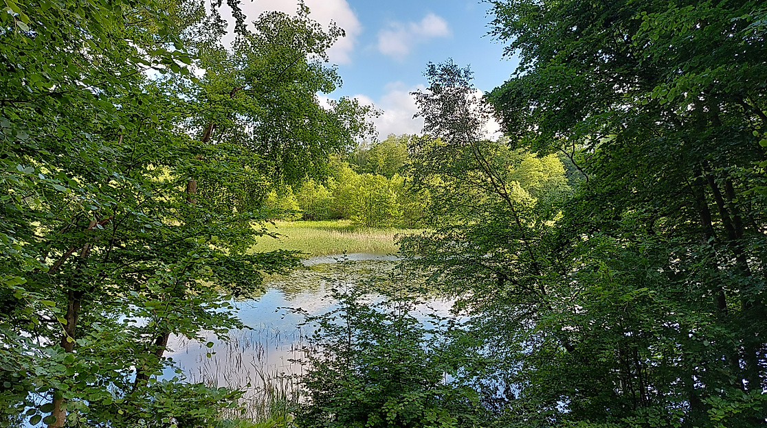 Im Land von Grün und Blau