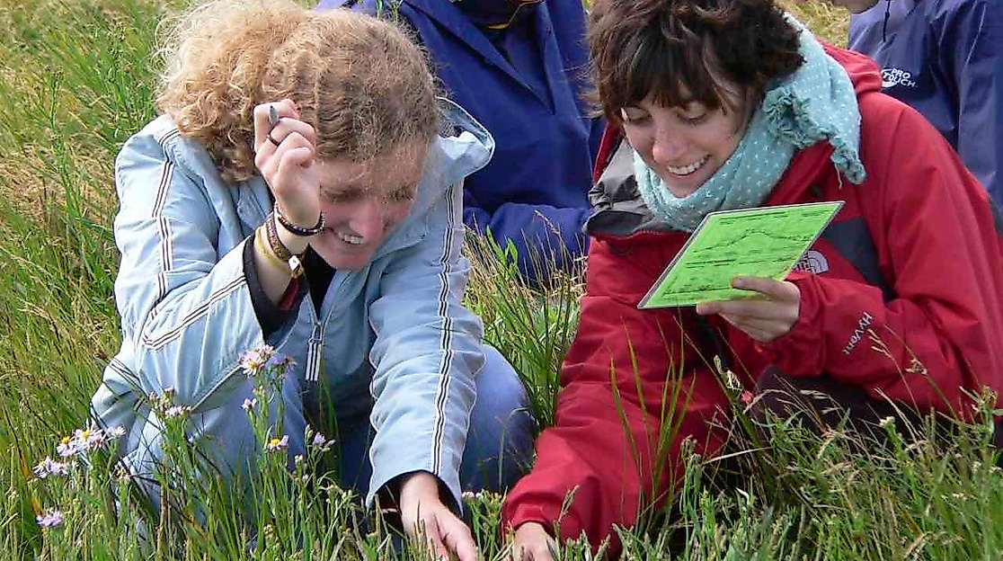 Salzwiesenführung - In Neptuns Vorgarten
