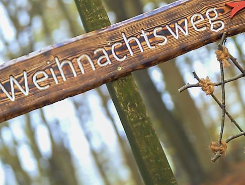 Weihnachtswaldweg_005