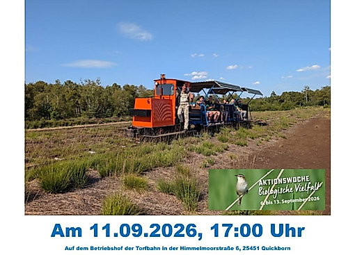 Torfbahn mit Besuchern im Moor