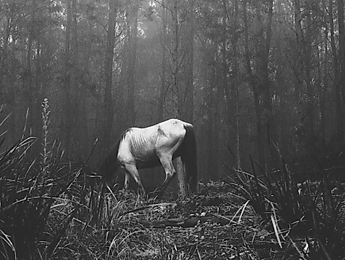 Panel Talk in der Ausstellung INTO THE UNSEEN – THE WALTHER COLLECTION