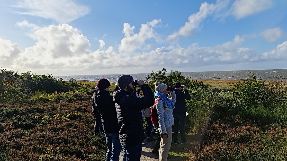 Vogelbeobachtung an der Sahlenburger Küste