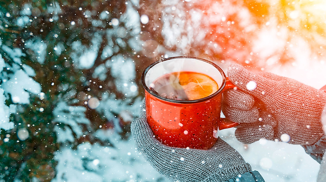 Teerunde unzter Bäumen im Winterwald genießen