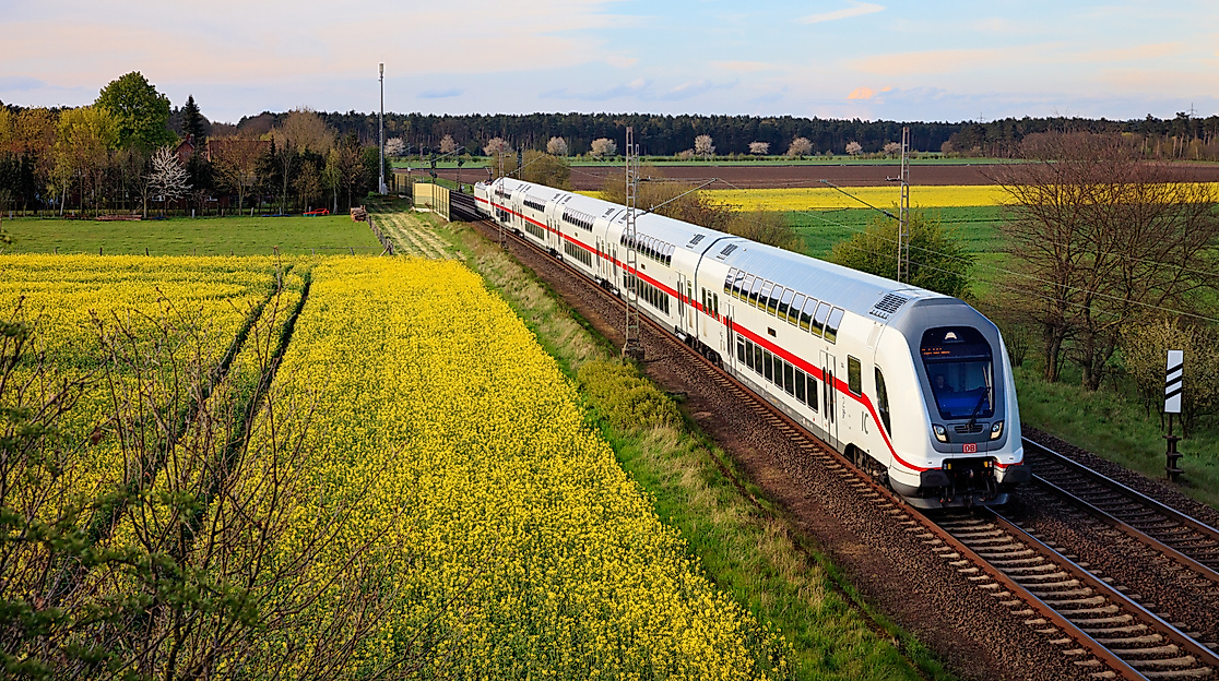 ICE fährt durch blühendes Rapsfeld 