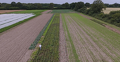 Gutsküche Wulksfelde