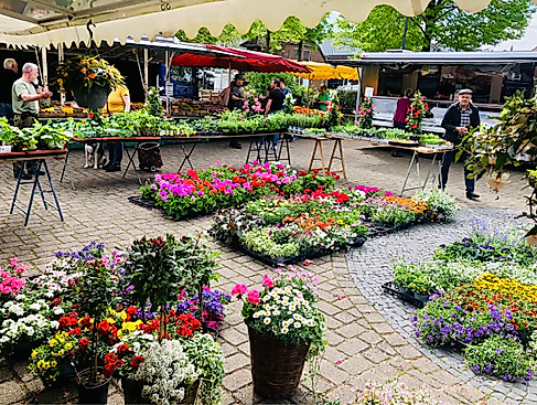 Ebstorfer Wochenmarkt