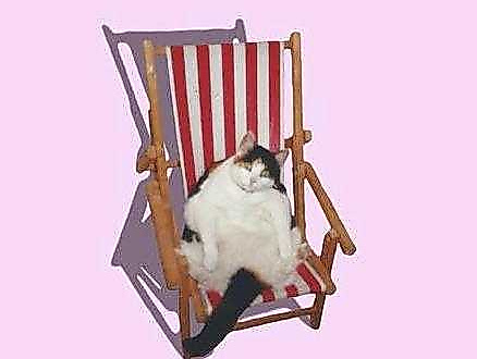 Natalie Grimm der Gefahr.jpeg