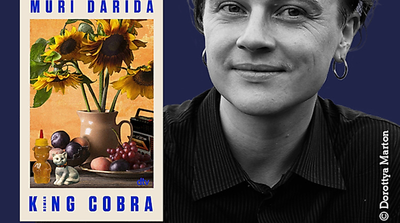 Muri Darida: "King Cobra"