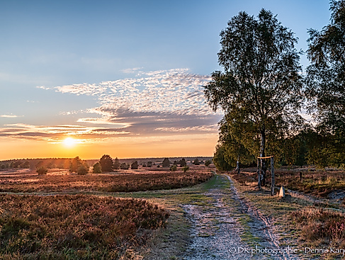 Fotowalk - Sonnenuntergang in der Weseler Heide