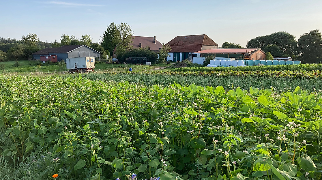 Rundgang auf dem Bio-Hof Windberg