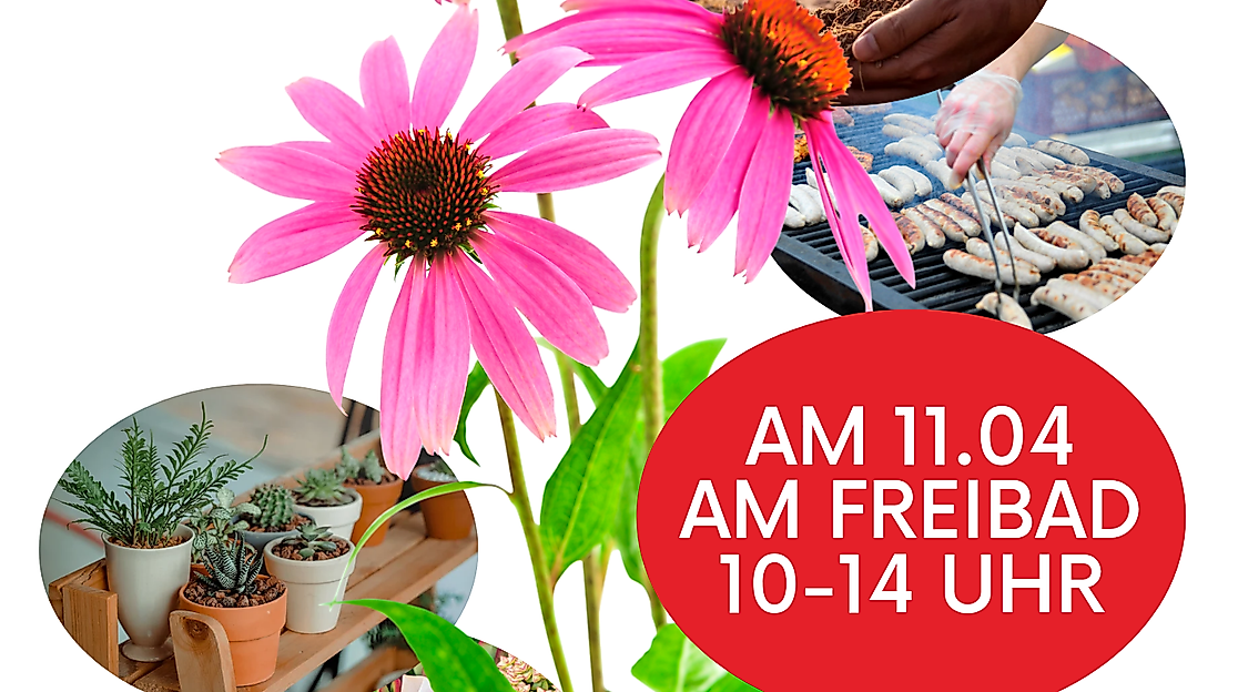 Veranstaltungs-Plakat