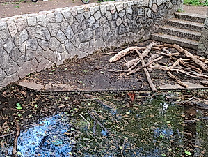 Woher kommt das Alsterwasser?