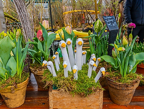 2025_03_30_a74_museumsdorf-volksdorf_bauernmarkt_fruehjahrsmarkt-04909