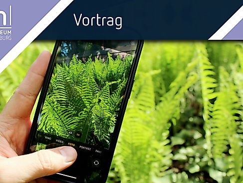 Vortrag: Insekten per App bestimmen