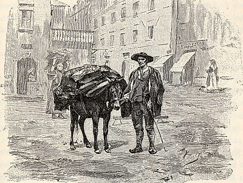 drawing_of_an_istro-romanian_from_1891