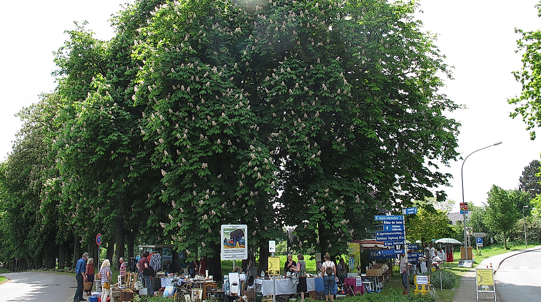 Flohmarkt Sierksdorf