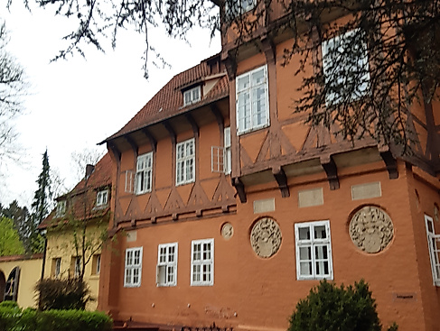 Yogatage im Wald – ein Wochenende für Frauen