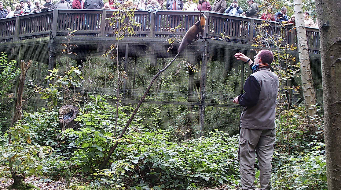OTTER-ZENTRUM Hankensbüttel