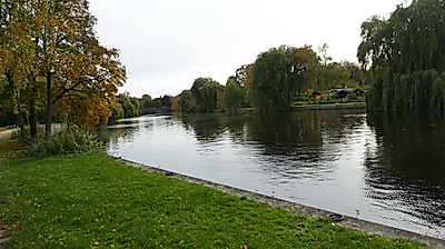 Es grünt so grün – nordwärts