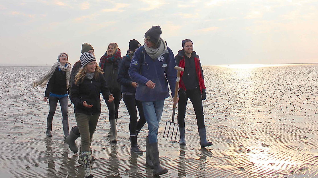 Wattwanderung in Büsum: Weltnaturerbe Wattenmeer
