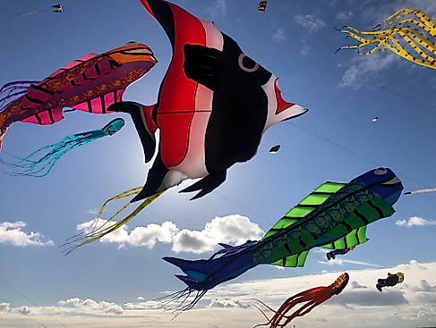 Drachenfest Fehmarn