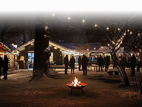 Winter Lichtung