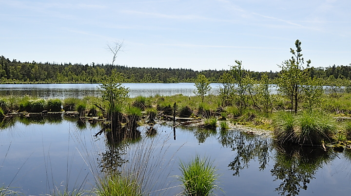 Von Walsrode zum Grundlosen See
