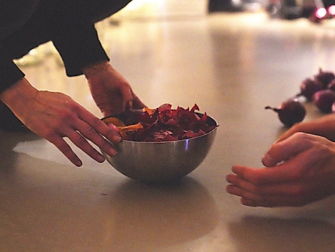gross-seedswecarry_klimastrome_photo-credit_-phuong-thao-nguyen