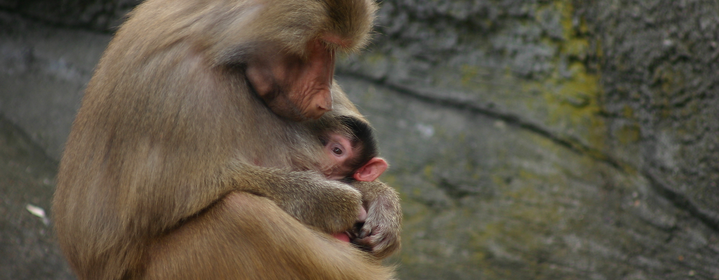 Tierpark Hagenbeck