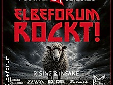 Elbeforum Rockt! 2026