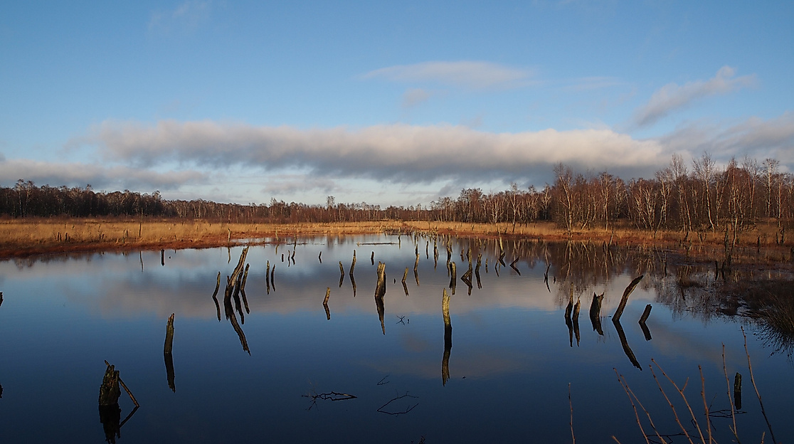 Foto_Wittmoor_(c)_Axel_Jahn-min