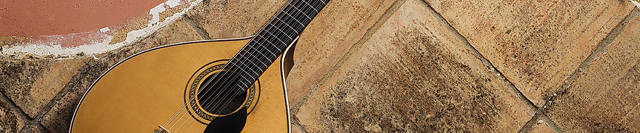 Portugiesische Gitarre