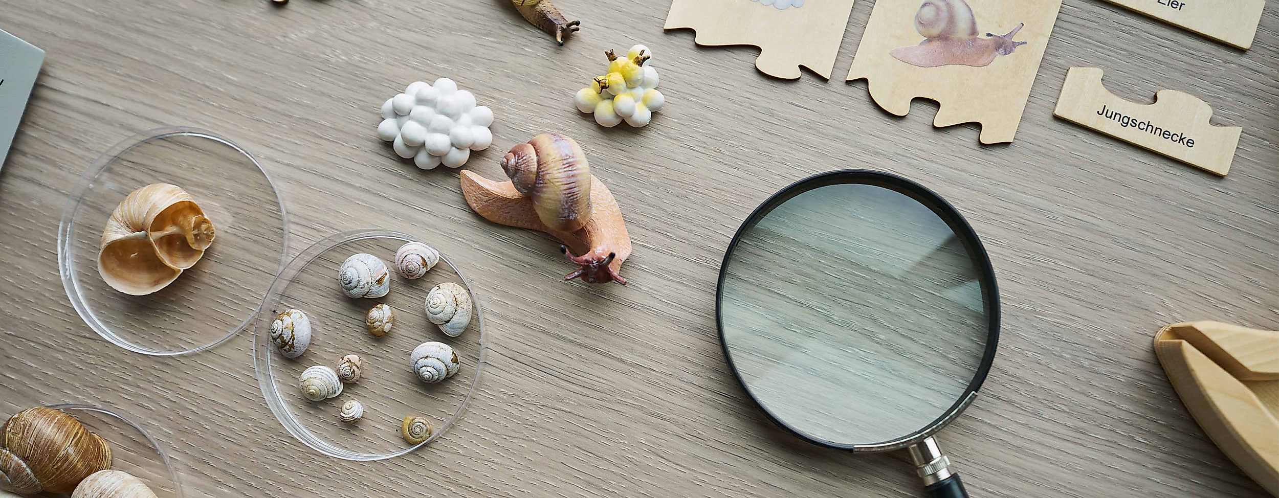 poi-botschaftderwildtiere-deutsch-wildtier-stiftung_00807_christian_brandes_web_2500x1500