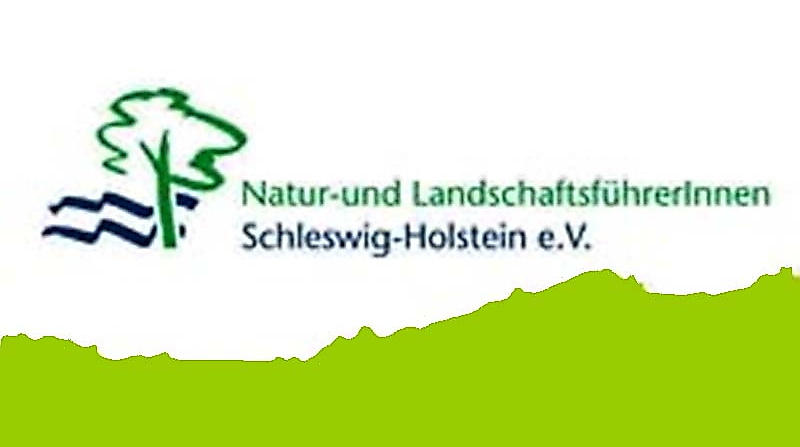 Verein-800-533