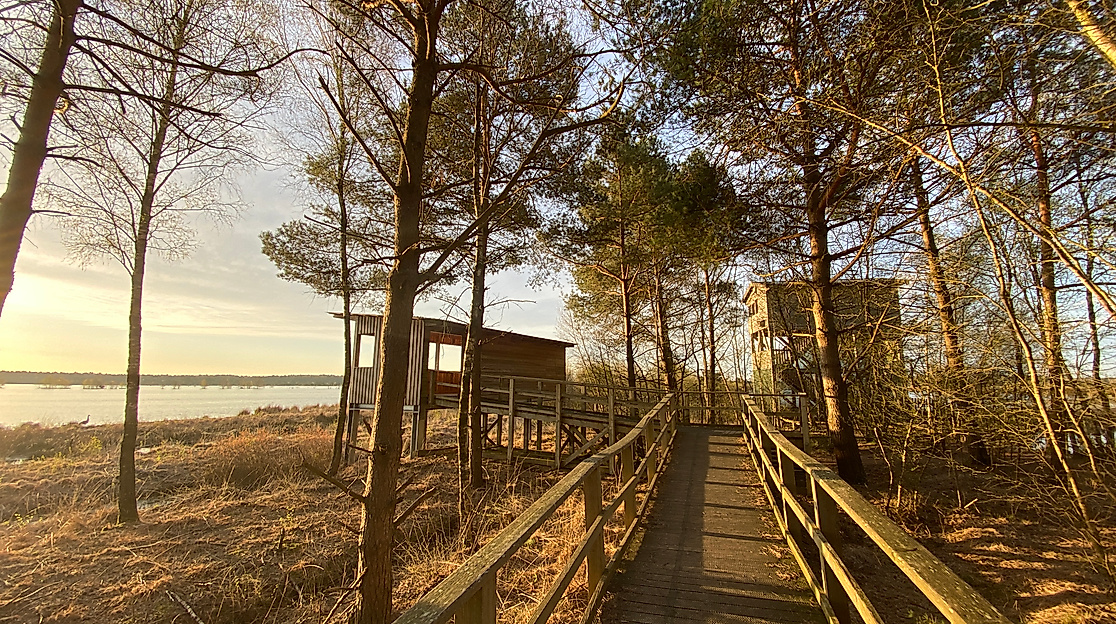 Planmäßige Moorbahnfahrten ins Tister Bauernmoor
