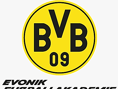 BVB